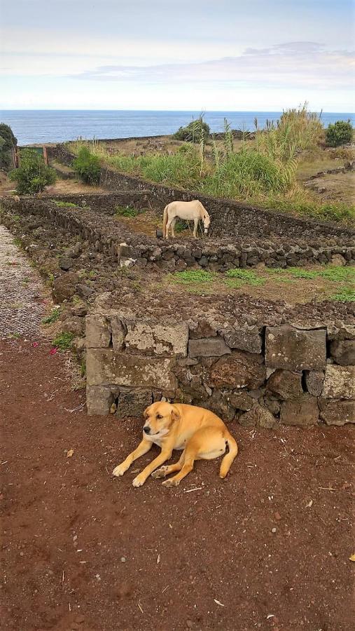 Quinta Da Falesia - Casa Branca Ponta Delgada Eksteriør bilde
