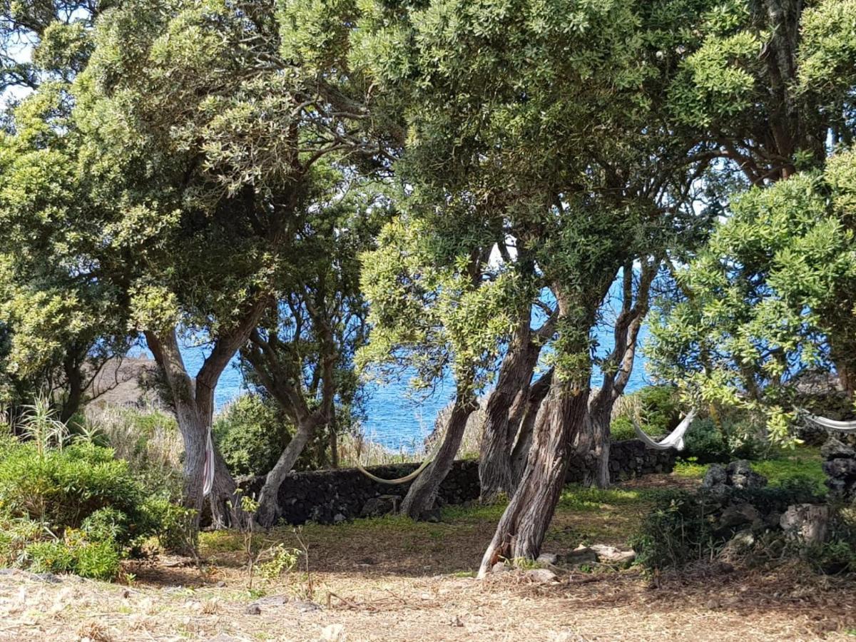 Quinta Da Falesia - Casa Branca Ponta Delgada Eksteriør bilde