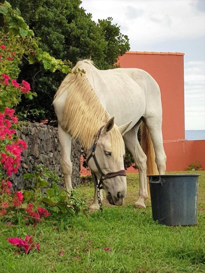 Quinta Da Falesia - Casa Branca Ponta Delgada Eksteriør bilde